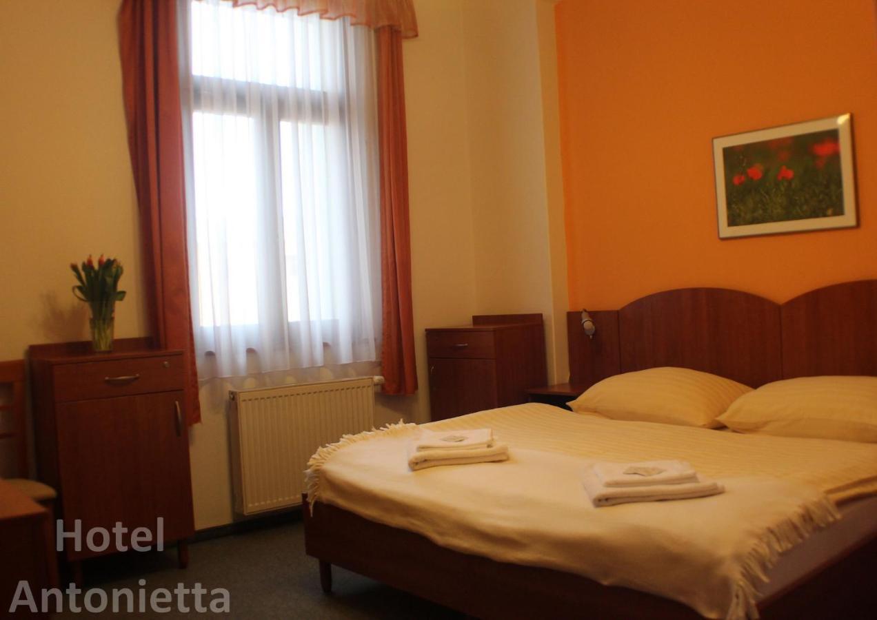 Hotel Antonietta Teplice Luaran gambar