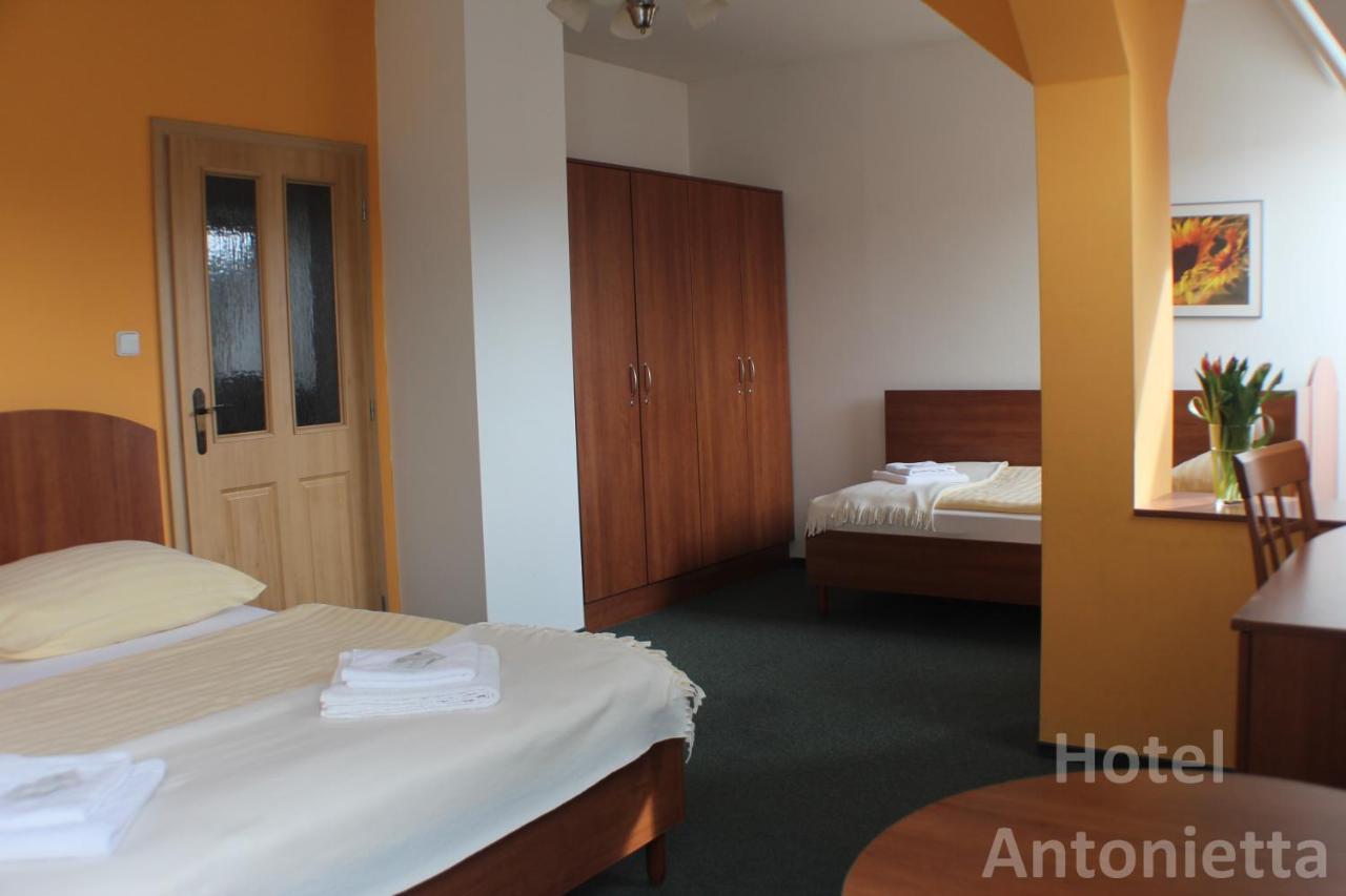 Hotel Antonietta Teplice Luaran gambar