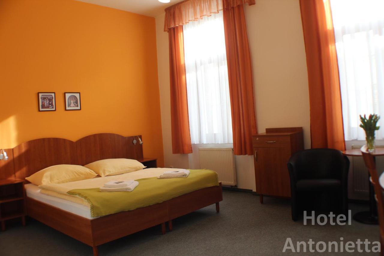 Hotel Antonietta Teplice Luaran gambar