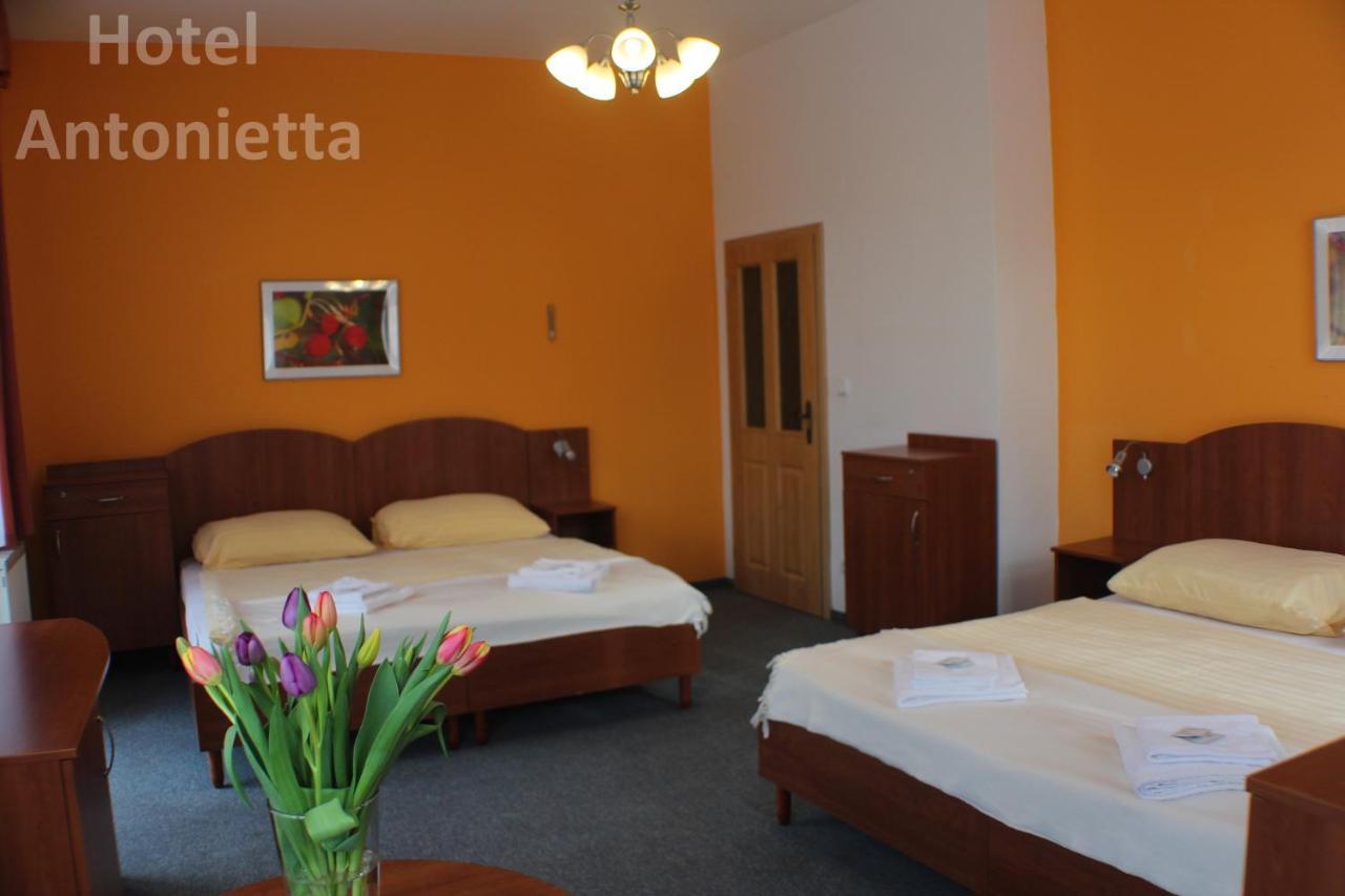 Hotel Antonietta Teplice Luaran gambar